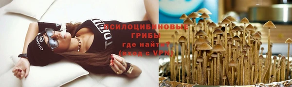 молекула духа Алзамай