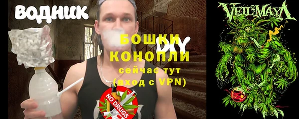 дживик Алексин