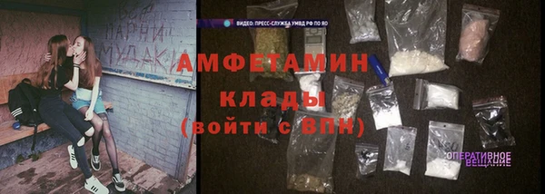 молекула духа Алзамай