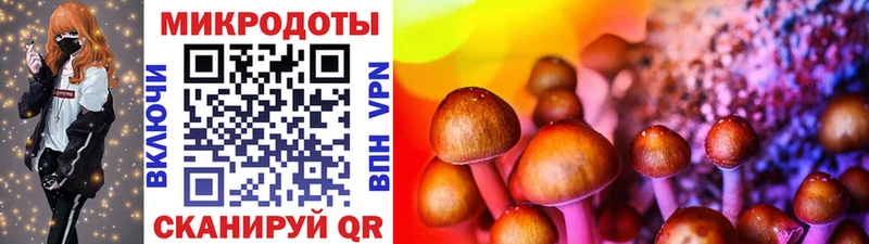 Галлюциногенные грибы Psilocybine cubensis  Боготол 